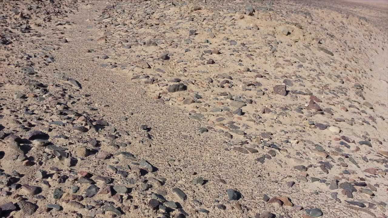 Kvindebandet - Venus