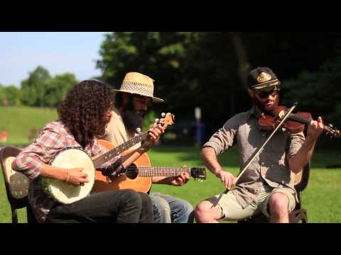 The Noisy Locomotive - Stern Old Bachelor | Great Heart Festival 2015