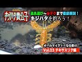 【キジハタ入門④テキサスリグ】ロックフィッシュの基本形ともなるテキサスリグを水中映像で徹底解説。シチュエーション別使用方法も。【地球遊び#135】