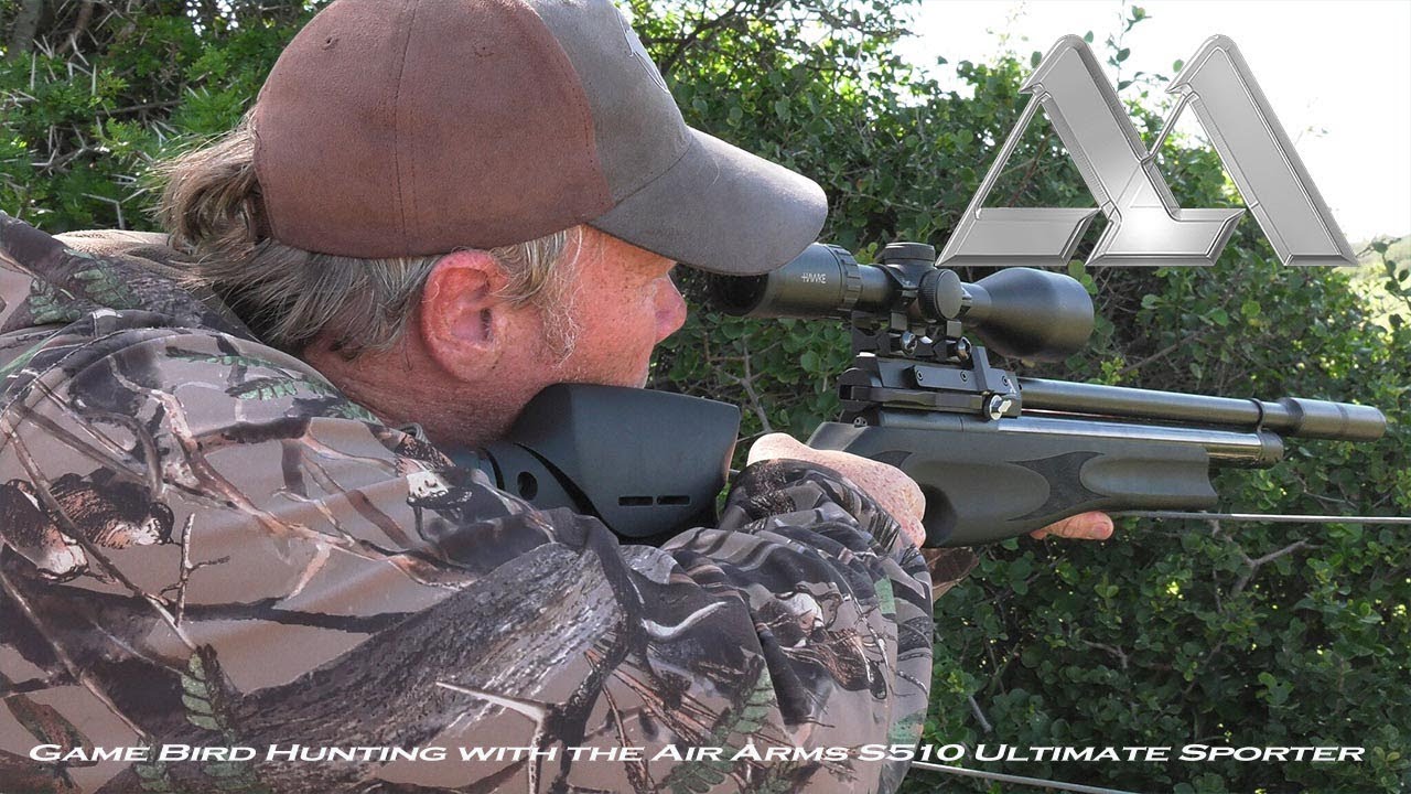 Game Bird Hunting with the Air Arms S510 Ultimate Sporter XS