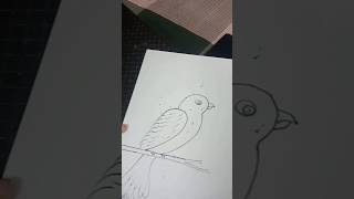 Beautiful birds#suscribe #drawing #art #shortvideo #easydrawing #drawingideas