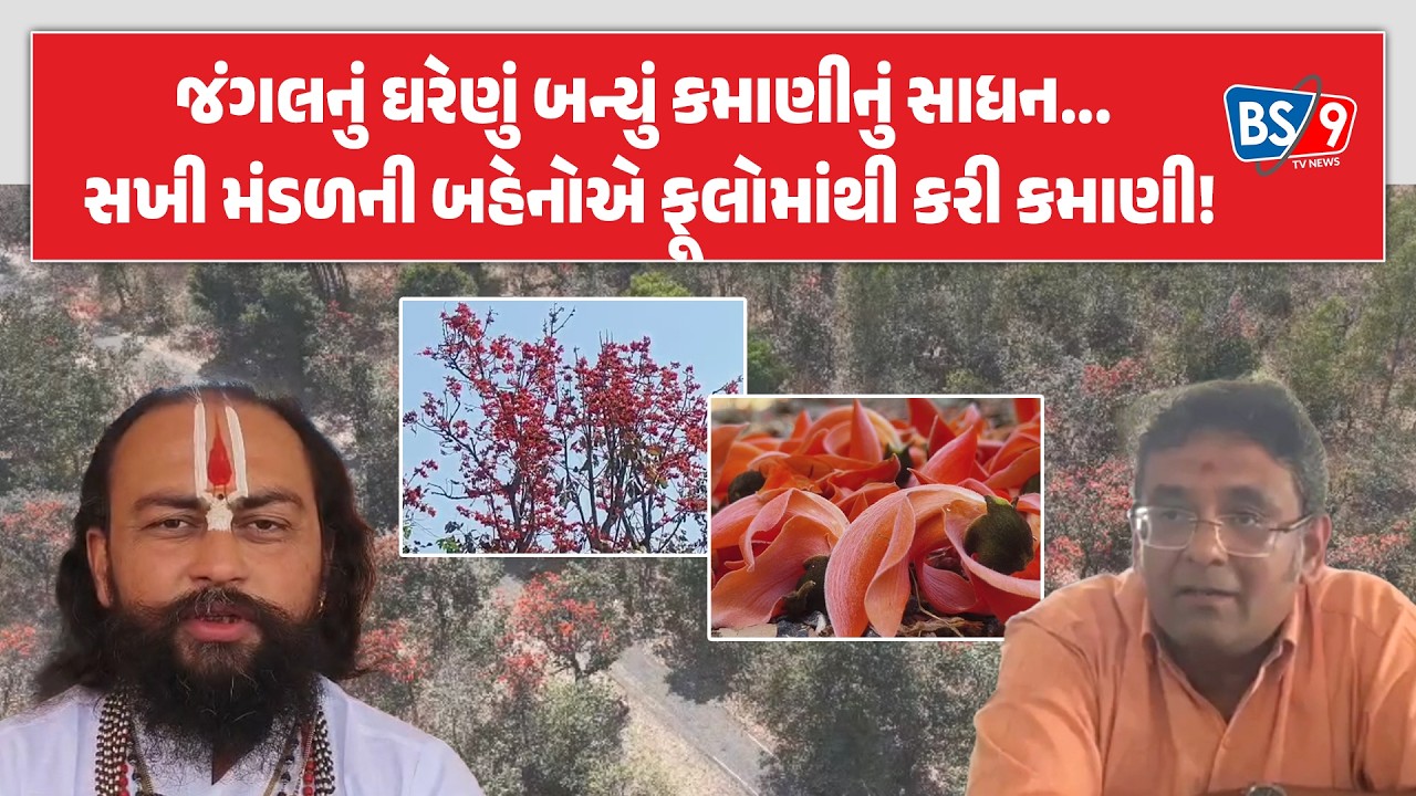 Sabarkantha | સખી મંડળની બહેનોએ કુદરતના ખજાના કેસૂડાના ફૂલને બનાવ્યું કમાણીનું સાધન | BS9 TV NEWS