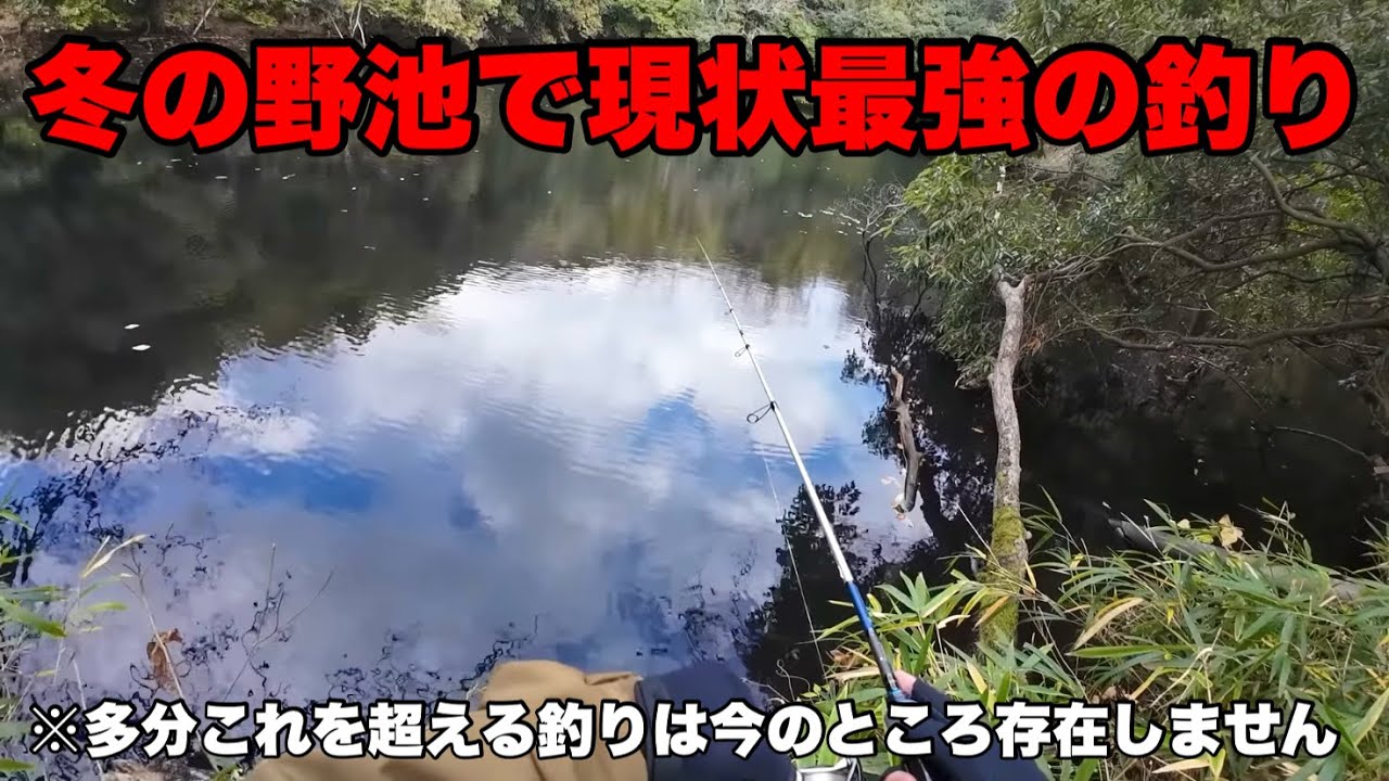 冬にバスが釣れなくて悩んでる方は是非試してみてください。 - YouTube