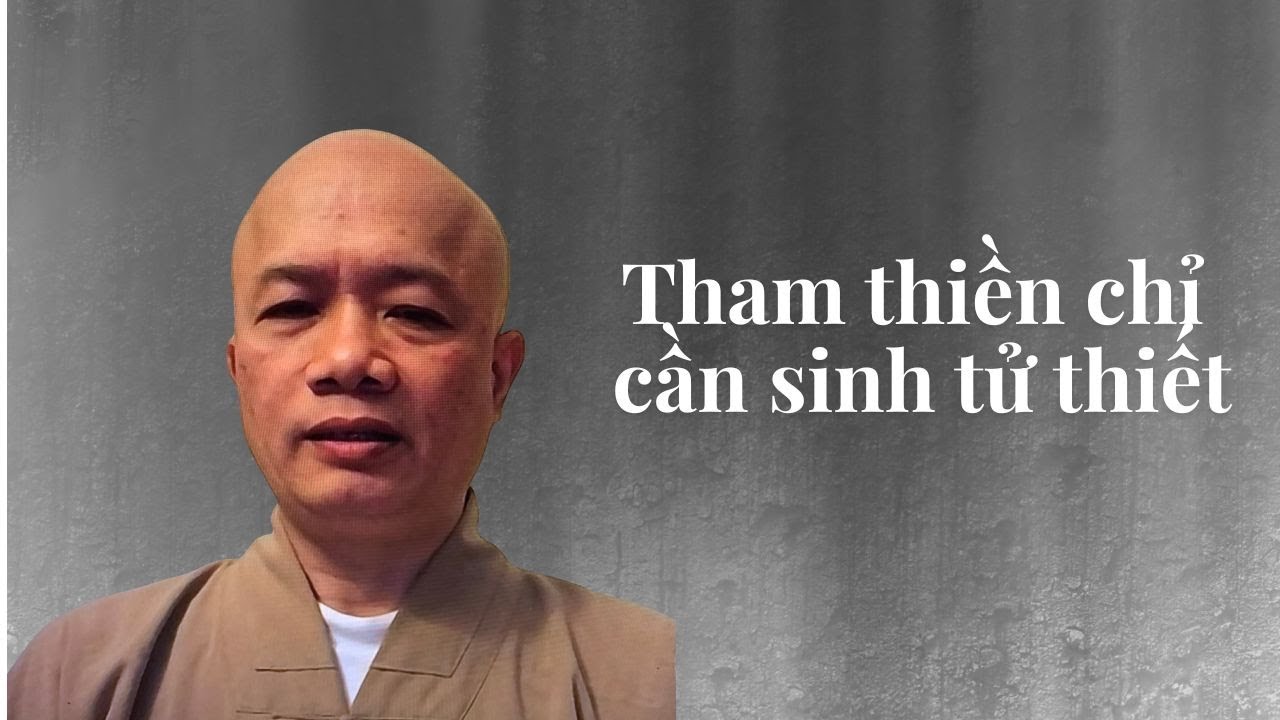 Медитация требует глубокого понимания жизни и смерти. (Дхарма-беседа достопочтенного Тхить Минь Н...