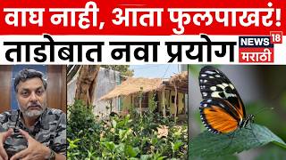 Chandrapur News | Tadoba-Andhari Tiger Reserve मध्ये Butterfly Village चा अनोखा प्रयोग | N18V