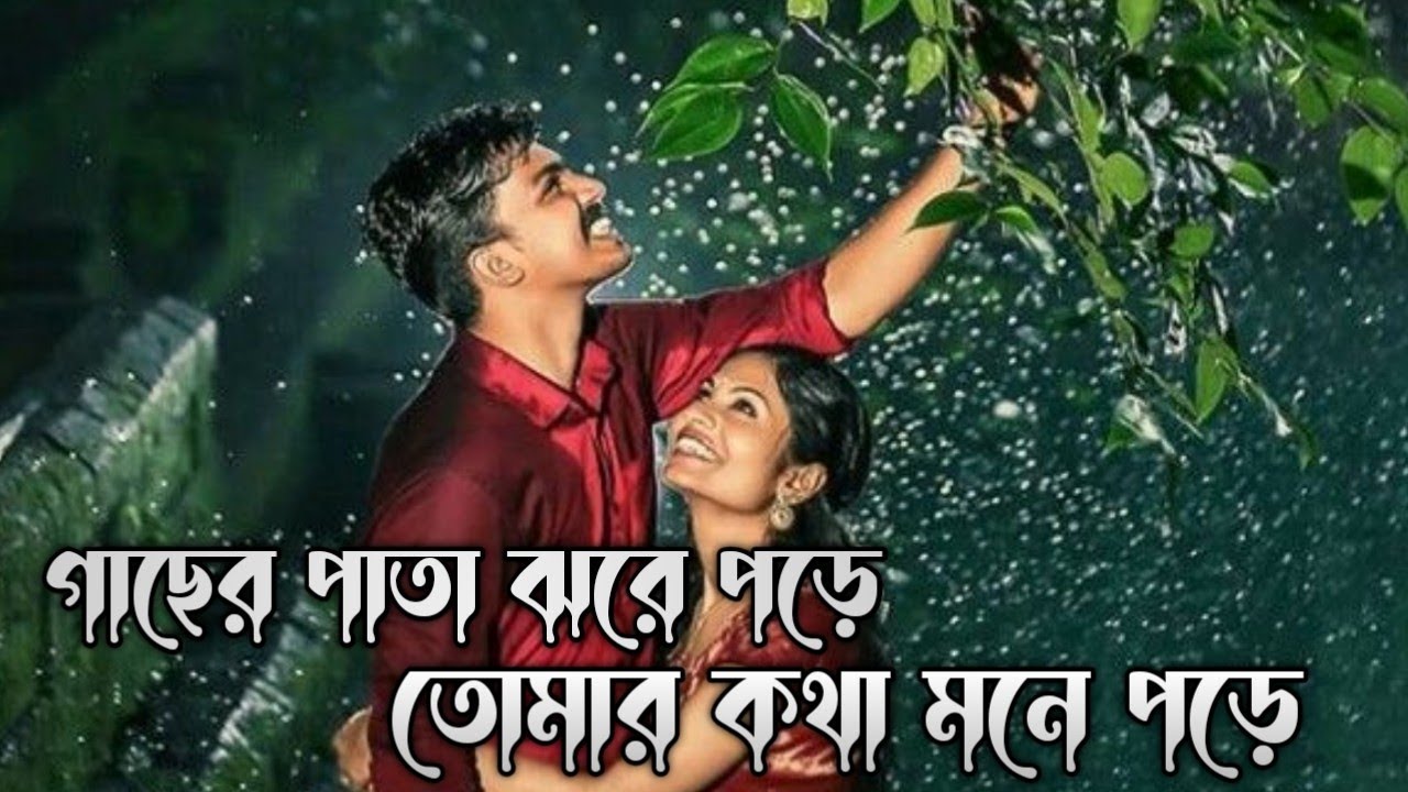 গাছের পাতা ঝরে পড়ে তোমার কথা মনে পড়ে | Gacher Pata Jore Pore | শুইনা তুমি লোকের কথা
