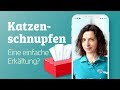 Schnupfen bei Katzen 🐱 (Ursachen &amp; Symptome) | Dr. SAM - dein Online-Tierarzt Mp3 Song