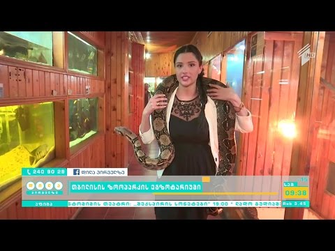 თბილისის ზოოპარკის განახლებული ეგზოტარიუმი - რა სიახლე ელის დამთვალიერებელს ზაფხულში