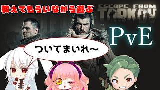 【EFT】　たんグラメンバーでタルコフ