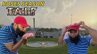 Roses Season in Al Ruddaf Park Taif 2023