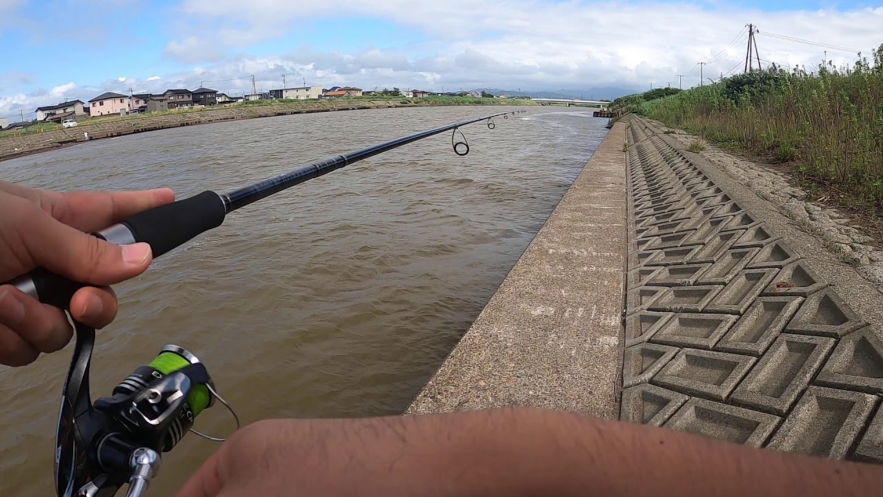 新潟鯖石川 釣れないシーバス釣り タイムラプス仕様 Youtube