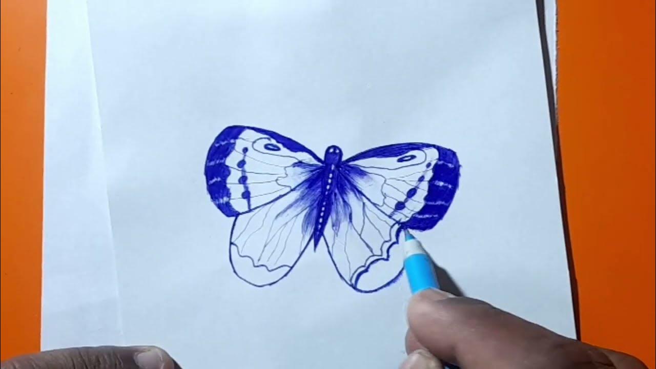 how to make draw butterfly with pen Sketchswami butterfly kaise