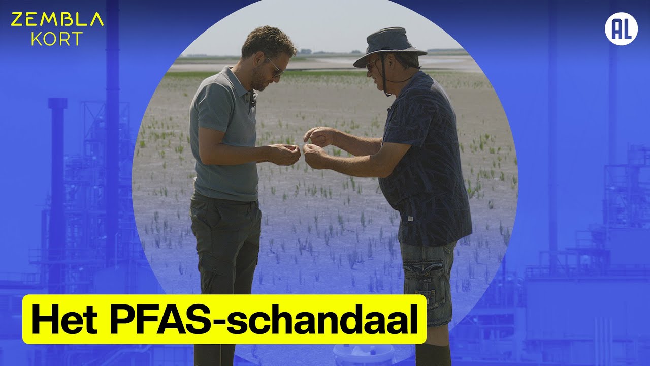 PFAS-lozingen in de Westerschelde | Zembla Kort