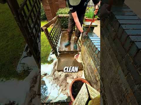 GENIUS Million-dollar house renovation Business idea #house #renovation #landscaping #cleaning