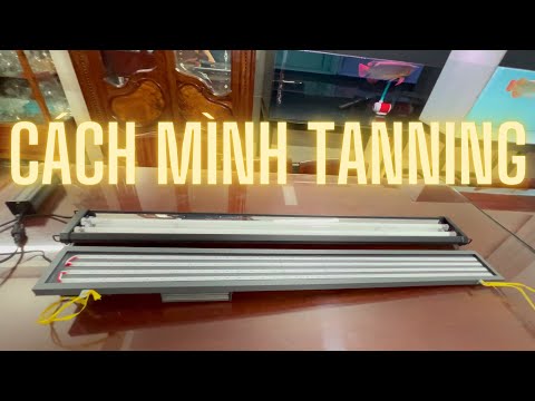 Video Dùng đèn nào ? và cách mình tanning cá rồng huyết long - youtube