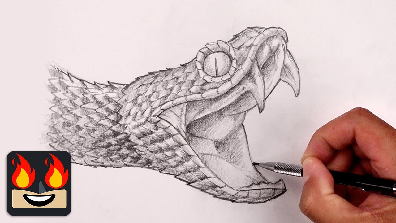 How to Draw a Snake (Snakes) Step by Step | DrawingTutorials101.com