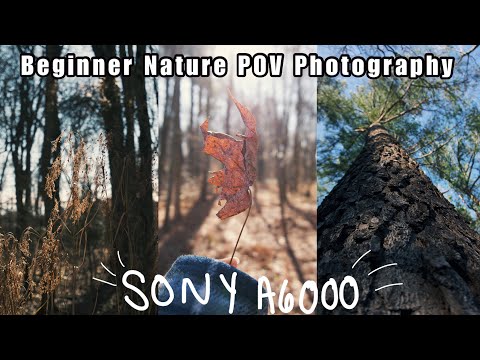 College student tries photography: Nature Photography Pov Sony A6000