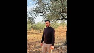 Abdo Ağa Hareketli Arapça Şarkılar 2026