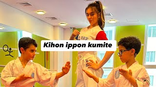 Teaching Karate Kihon Ippon Kumite Wkf Champion Anil Shariatpanahi