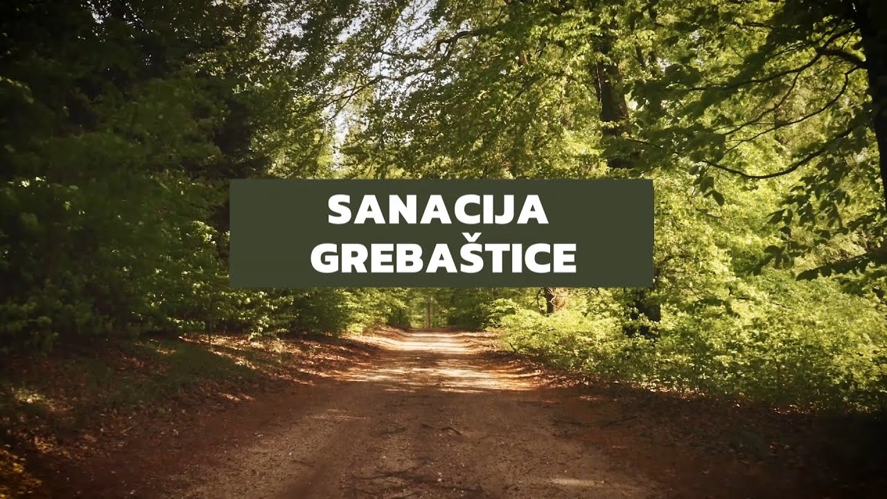 HRVATSKE ŠUME | Sanacija Grebaštice 🌳 8.4.2024.