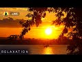 🔴 Relaxing Music for Stress Relief 24/7, Soft Music for Sleeping, Calming Music, Ocean Sunset, Waves