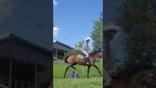 My eq has improved a little this past year #barrelracer #hobbyhorse #horses #pony #equestrian