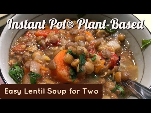 Instant Pot® Easy Lentil Soup for Two