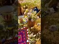 قم يالخوي نبي لنا سجة قم يالخوي نبي لنا سجة