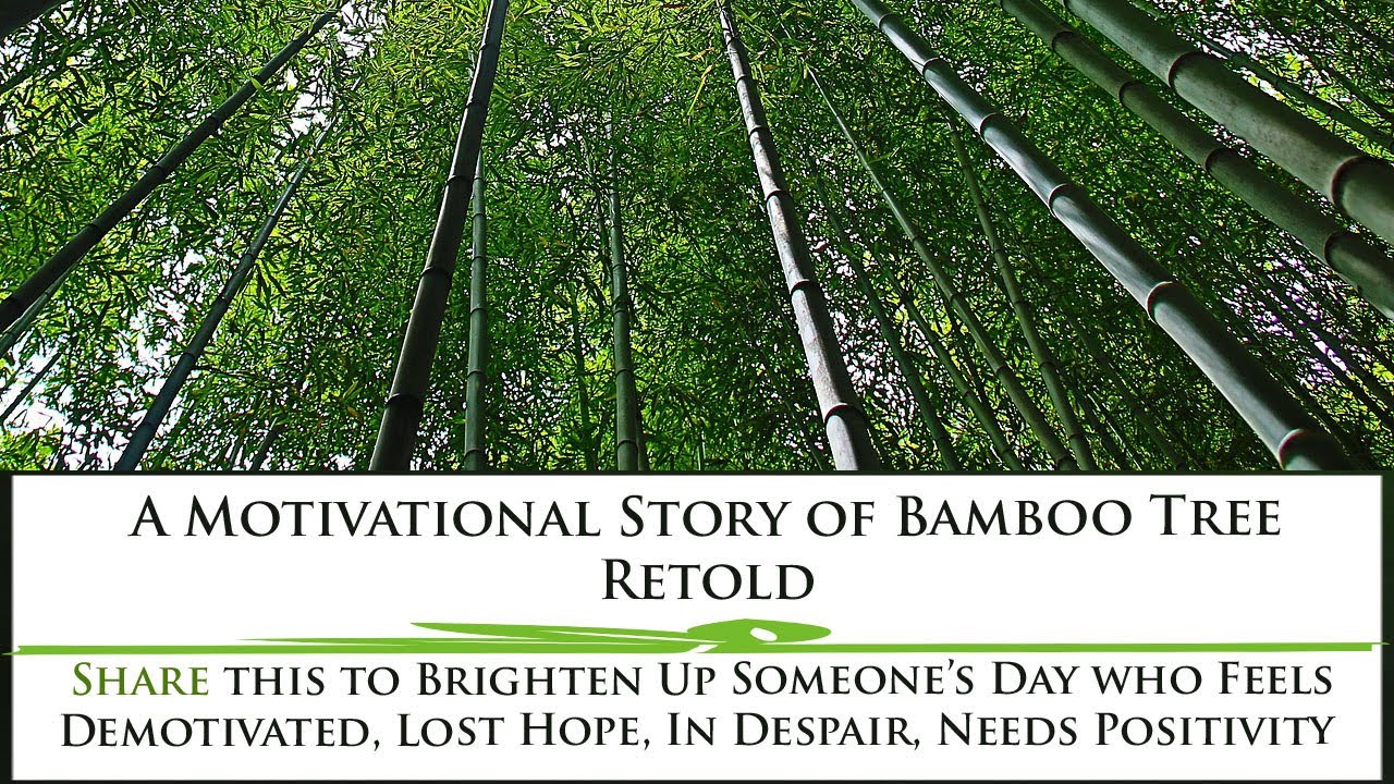 Motivational Story of Bamboo Tree हिंदी Spread Positivity Amita