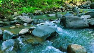 Brown Noise Flowing River Water Sounds – Background Ambience for Work & Sleep