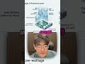 Full Stack Tech Stack Explained: Next.js, FastAPI, Redis, PostgreSQL #shorts