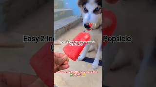 2-Ingredient Summer Hack! 🍉  healthy, and refreshing. Your pup will thank you! #yt #homemadepopcicle