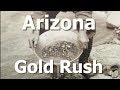 Arizona Gold Rush