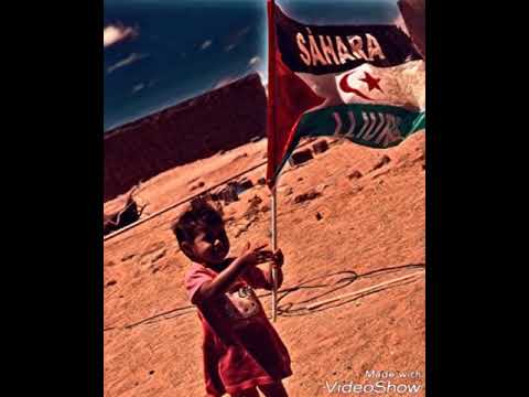 أغنية جودي يا عيني اغنية صحراوية ثورية