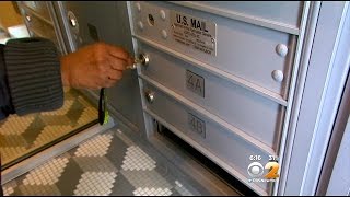 Residents Of Bushwick Building Fuming After Change Of Address Leaves Them With No Mail