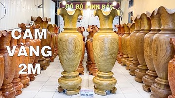 Siêu to khổng lồ. Lộc Bình gỗ cẩm vàng cao 2m nguyên khối siêu chất | Lục Bình Kinh Bắc