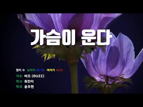 [은성 반주기] 가슴이운다 - 버즈(BUZZ)