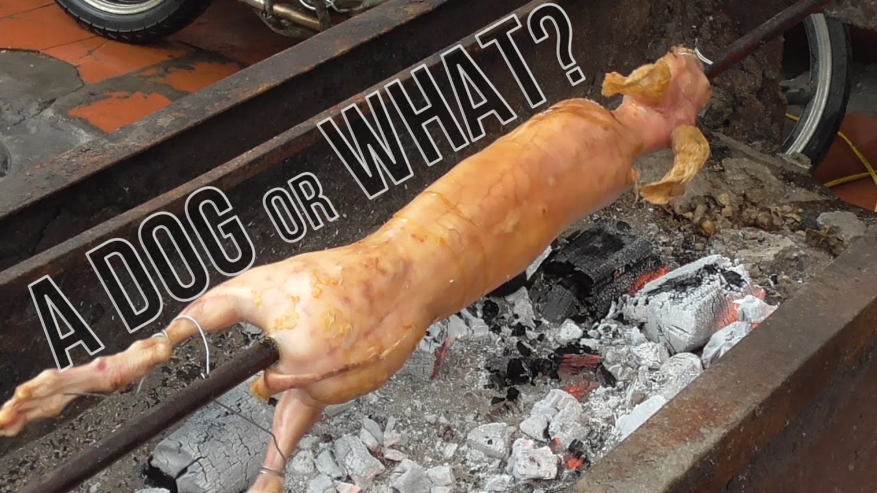 Whole Bunny Hare Rabbit Roasting BBQ Street food in Vietnam 2020