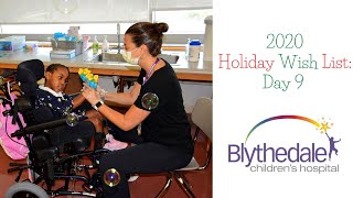 Full 2020 Blythedale Holiday Wish List: Day 9 Update