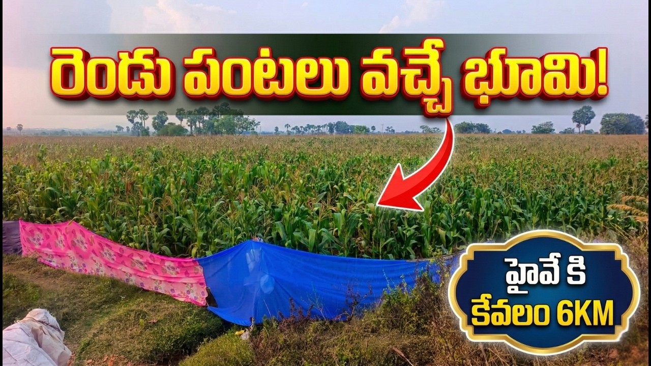 తక్కువ బడ్జెట్ లో ఊరికి అనుకోని , హైవే కి 6 KM దూరం లో  | 2.25 ఎకరాలు | ఈస్ట్ ఫేసింగ్