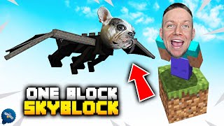 картинка: ИГРАЯ MINECRAFT, НО САМО НА ЕДИН БЛОК