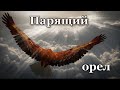 Парящий орел - Музыка Павел Ружицкий - Pavel Ruzhitsky