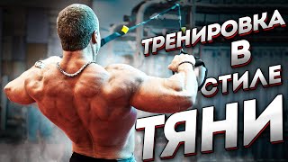 Тренировка в стиле "Тяни" от Станислава Линдовера