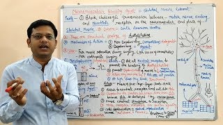 Neuromuscular Blocking Agents | Skeletal Muscle Relaxant Types and Mechanism of Action (HINDI)