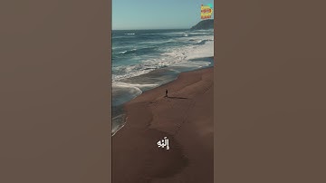 ✨ فَاسْتَغْفِرُوهُ ثُمَّ تُوبُوا إِلَيْهِ    تلاوة تهز القلب بصوت المنشاوي ✨