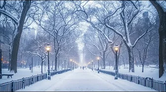 Winter Stroll in NYC: Billionaires’ Row to Central Park on 57th Street