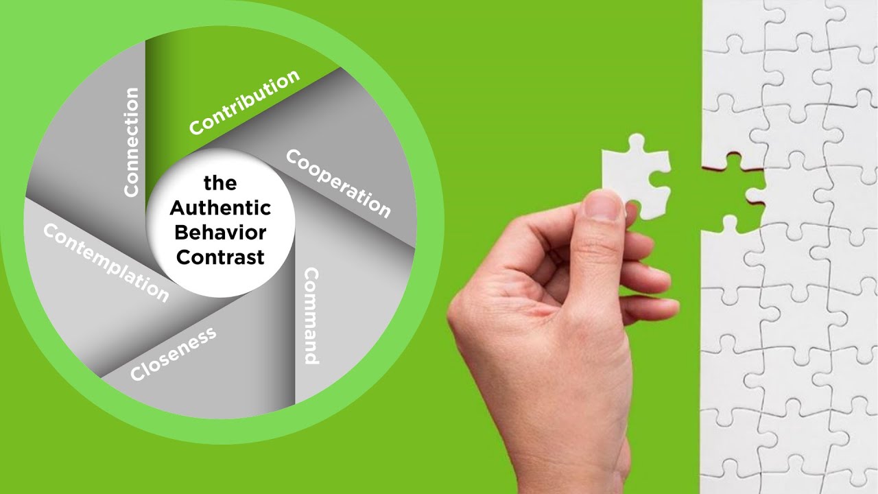 TEAMWORK Plan - the Authentic Behavior Contrast