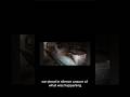 The Mausoleum #Horror #ScaryStory #HorrorShorts #NoSleep #shorts