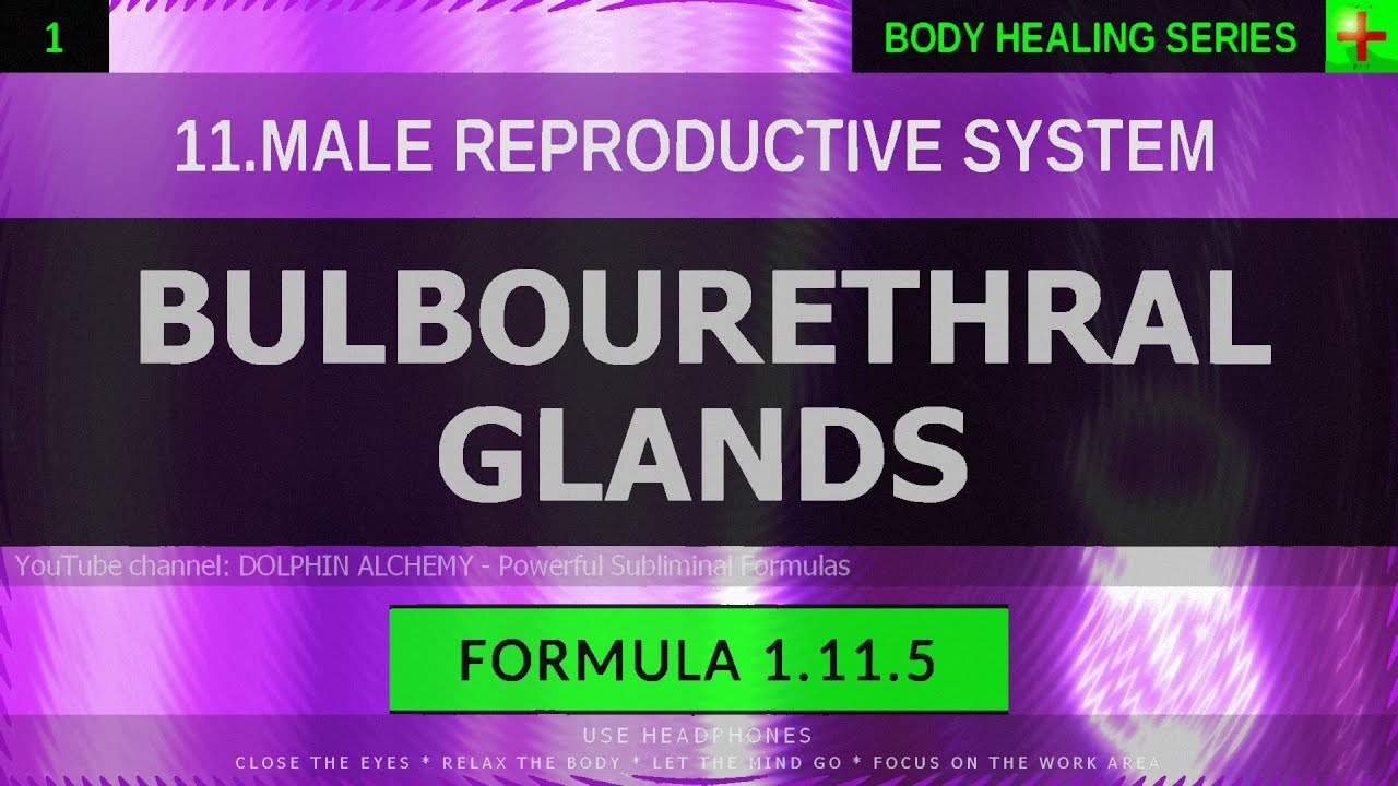 1.11.5 🎧 Bulbourethral Glands Treatment EXTREMELY DEEP HEALING