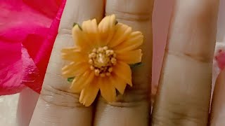 Study With Me Live 📚 || HSC 2026 Civics 2nd Paper Revision || 2 Hour Study